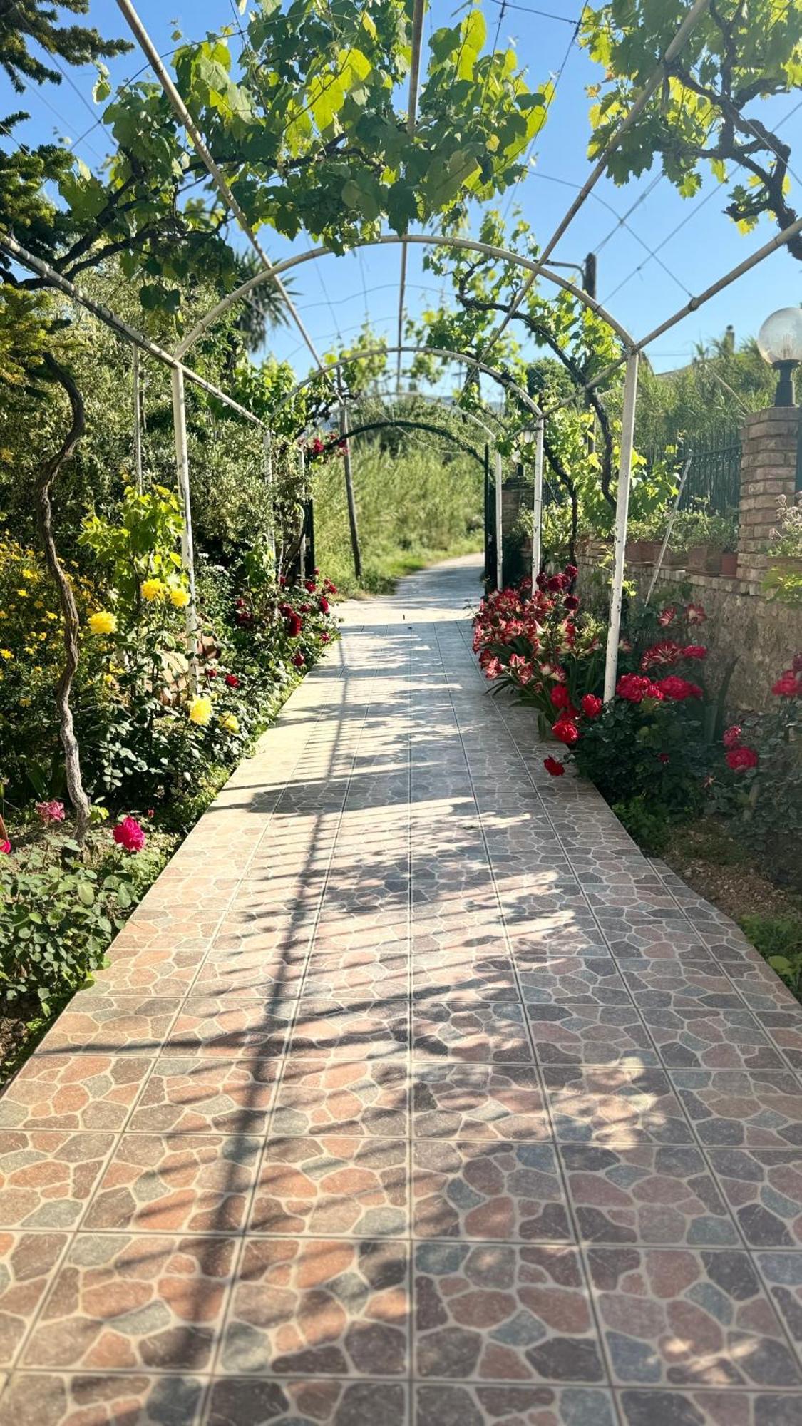 Apidalos Naus Apartment Corfu  Zewnętrze zdjęcie